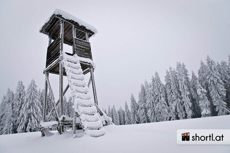 Winterlicher Hochstand im Waldviertel