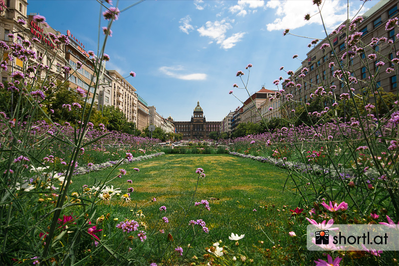 Am Wenzelsplatz in Prag