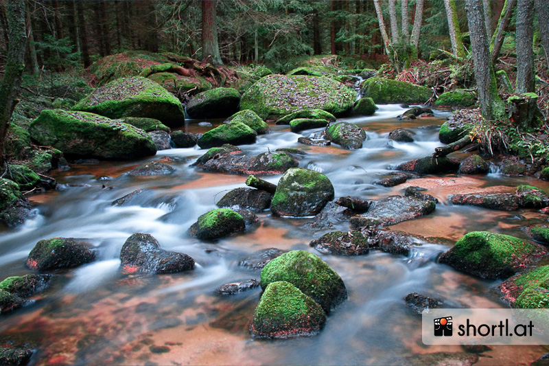 Nahe der Klauskapelle im Waldviertel