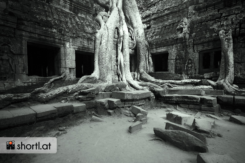 Der Ta Prohm-Tempel in Kambodscha
